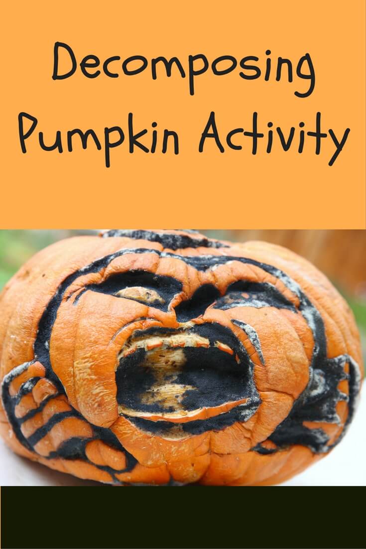 Decomposing Pumpkin Activity