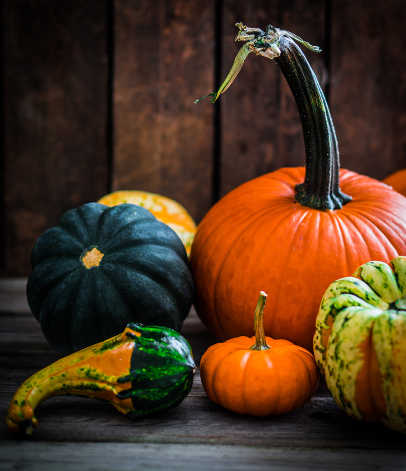 Colorful pumpkins to use as inspiration when writing poems about pumpkins