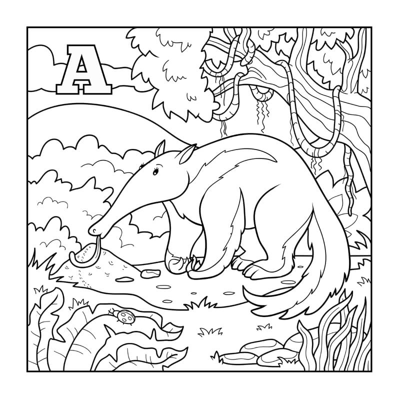 anteater coloring sheet